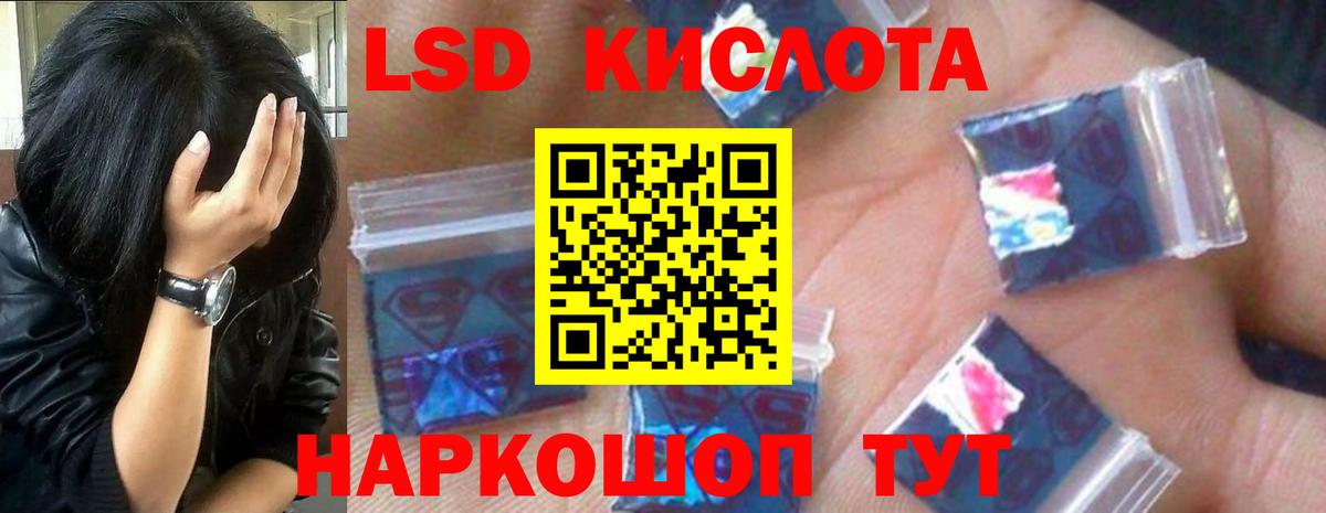 Бердск  Лсд 25 экстази кислота  Лсд 25 экстази ecstasy  Вход с VPN 